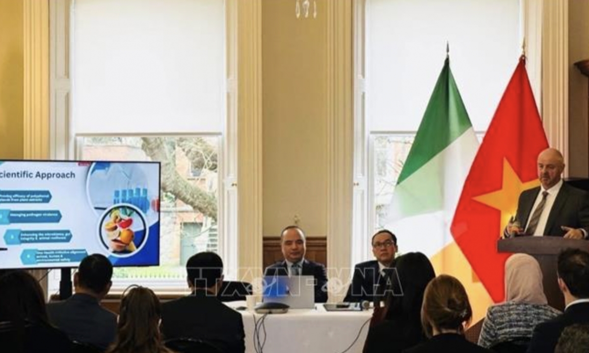 Vietnam emerges as Ireland’s most promising economic partner in ASEAN